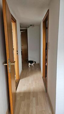 Foto - Etagenwohnung zur Miete in Kiel