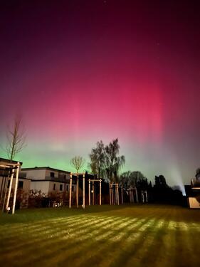 Foto - Erdgeschoßwohnung in Würselen zur Miete