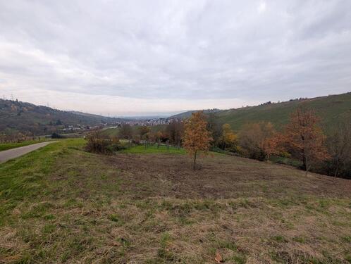 Foto - Grundstück mit herrlichem Panoramablick zu verpachten