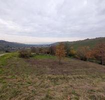 Grundstück mit herrlichem Panoramablick zu verpachten - Weinstadt