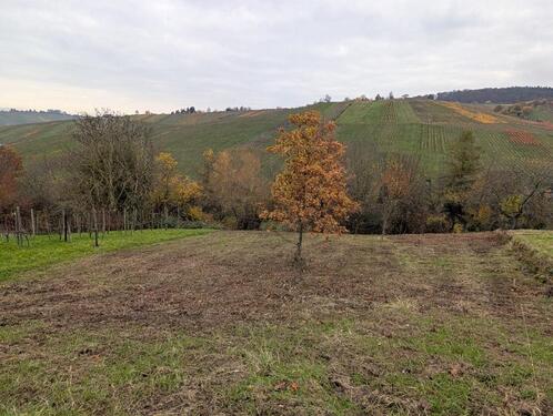 Foto - Grundst&uuml;ck zur Miete in Weinstadt