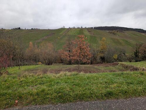 Foto - Grundst&uuml;ck in Weinstadt