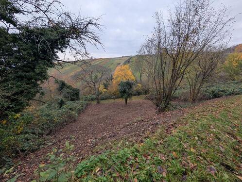 Foto - Ruhiger Rückzugsort inmitten der Natur zu verpachten