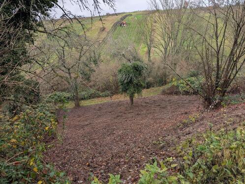 Foto - Grundst&uuml;ck zur Miete in Weinstadt