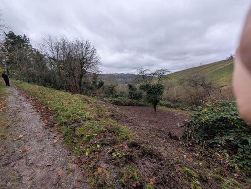 Foto - Grundst&uuml;ck in Weinstadt