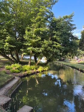 Foto - 2 Zimmer Etagenwohnung in Lübeck