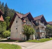 Vermietete 1,5-Zimmer Wohnung mit Balkon und Stellplatz - Hornberg
