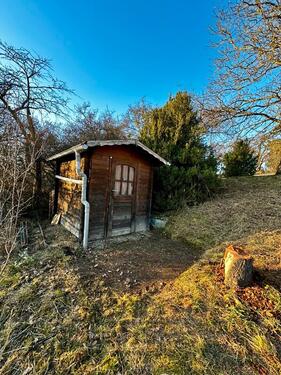 Foto - Umzäuntes Freizeitgrundstück mit Gartenhaus zu verpachten