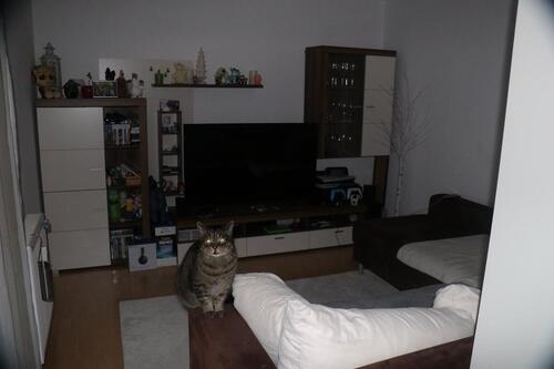 Foto - 2.5 Zimmer Etagenwohnung in Neckartenzlingen