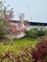 Foto - Einfamilienhaus mit Garten und Garage