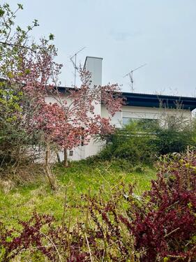 Foto - Einfamilienhaus mit Garten und Garage
