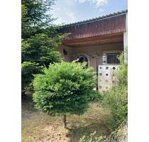 Bungalow mit Garage und Werkstatt in Prödel im Naherholungsgebiet - Zerbst (Anhalt) Leps