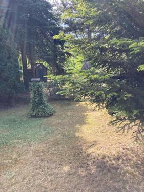Foto - 2.5 Zimmer Bungalow zum Kaufen in Zerbst (Anhalt)