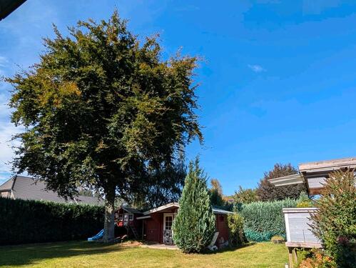 Foto - 8 Zimmer Einfamilienhaus zum Kaufen in Groß Rheide