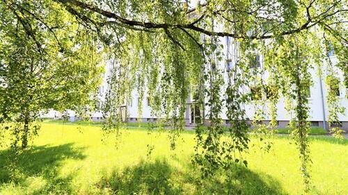 Foto - Lust auf Wohnen im Grünen? - 288,00&nbsp;EUR Kaltmiete, ca.&nbsp; 48,00&nbsp;m&sup2;