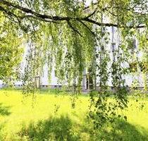 Lust auf Wohnen im Grünen? - 288,00&nbsp;EUR Kaltmiete, ca.&nbsp; 48,00&nbsp;m&sup2; in Chemnitz (PLZ: 09116) Altendorf