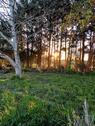 Foto - andere zur Miete in Rieseby