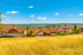 Foto - Tiny-Haus Stellplätze zu verpachten