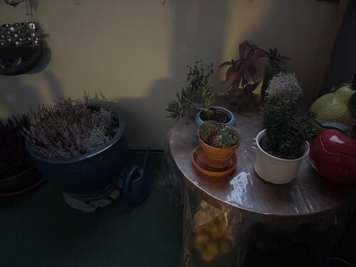 Foto - 3 Zimmer Etagenwohnung in Berlin