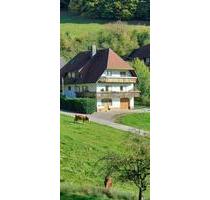 4-Zimmer Erdgeschosswohnung in ruhiger Lage - Haslach im Kinzigtal