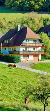 Foto - 4 Zimmer Erdgeschoßwohnung zur Miete in Haslach im Kinzigtal