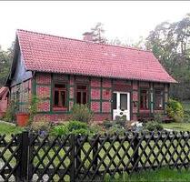 Einfamilienhaus in Toplage in Bruchhausen-Vilsen OT Homfeld