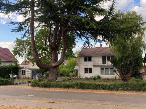 Foto - Einfamilienhaus zum Kaufen in Monsheim