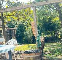WG-Zimmer in frisch renovierter Wohnung mit Garten - Hatten