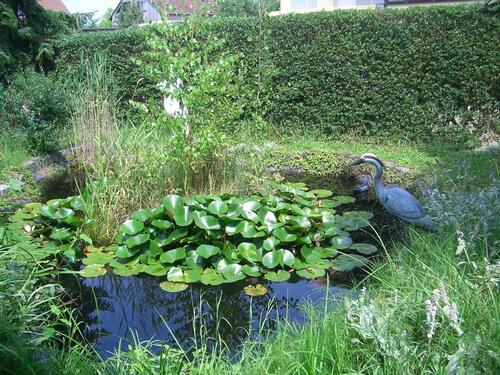 Foto - 2-Zi-EG-WHG-57qm-Wörnitz-EBK-Gartennutzung