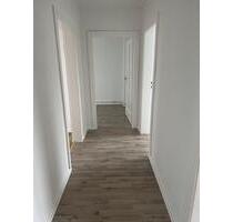 Wunderschöne 3 Zimmer Wohnung in Helmstedt