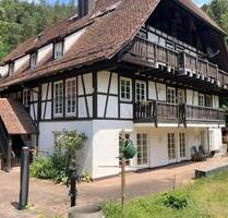 Barrierefreies Appartement mit großem Balkon, Aufzug, mit Service - Calw