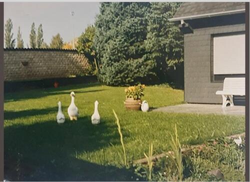 Foto - 8 Zimmer Einfamilienhaus zum Kaufen in Heusweiler
