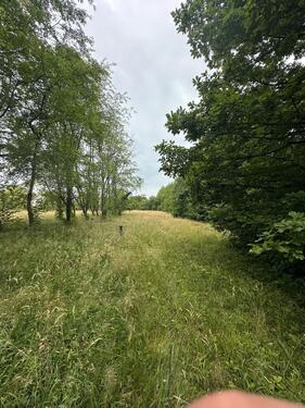 Foto - Garten Acker Wiese Waldgrundstück Freizeit
