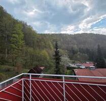 2-Zi Wohnung am Waldrand; Balkon uneinsehbar + Stellpl. - Geislingen an der Steige