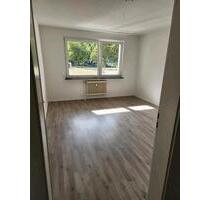 3 Zimmer Wohnung Braunschweig NordstadtStadion Neu Renoviert