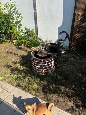 Foto - Einfamilienhaus in Dessau-Roßlau zum Kaufen