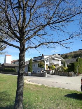 Foto - Zuhause sein an Wasser, Wald und viel Natur