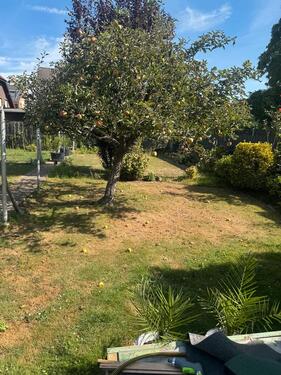 Foto - Einfamilienhaus in Elsdorf zur Miete