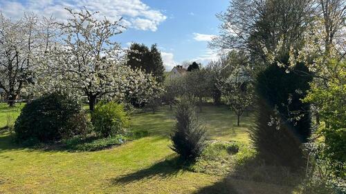 Foto - Baugrundstück 2. Reihe Belm ca. 700 m2