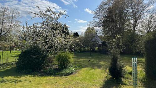 Foto - Grundstück zur Miete in Belm
