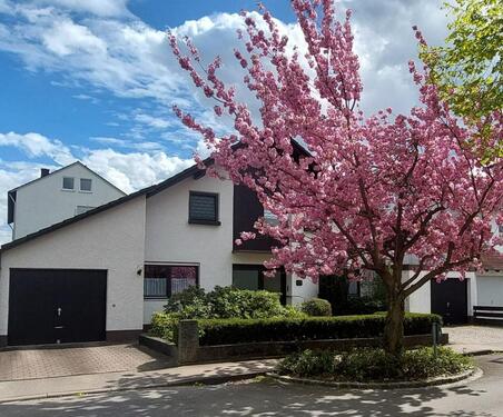 Foto - Einfamilienhaus mit Einliegerwohnung (DG) zu verkaufen