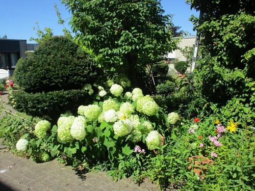 Foto - 5 Zimmer Bungalow zum Kaufen in Coesfeld