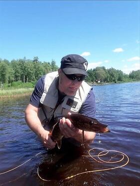 Foto - andere in Kirchlinteln zur Miete