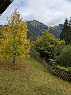 Foto - Etagenwohnung zur Miete in Bad Hindelang