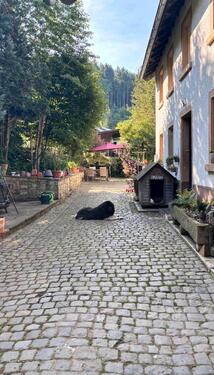 Foto - Einfamilienhaus zum Kaufen in Medard