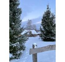 Naturstein Anwesen im Harz - Zuhause & Home-Office in Alleinlage - Vechelde