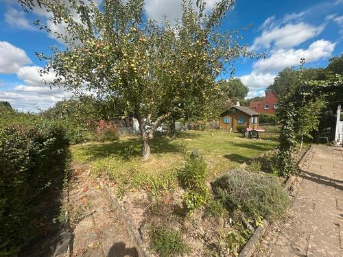 Foto - Grundst&uuml;ck zur Miete in Salzgitter