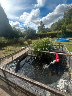 Foto - Grundst&uuml;ck in Salzgitter