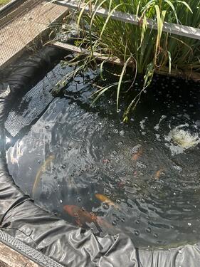 Foto - Grundst&uuml;ck in Salzgitter zur Miete