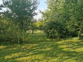 Foto - Einfamilienhaus in Teterow
